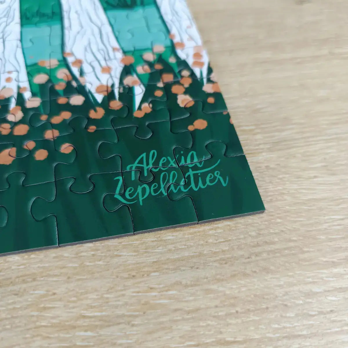 Puzzle 1000 pièces : Bassin d'Arcachon Aparté.