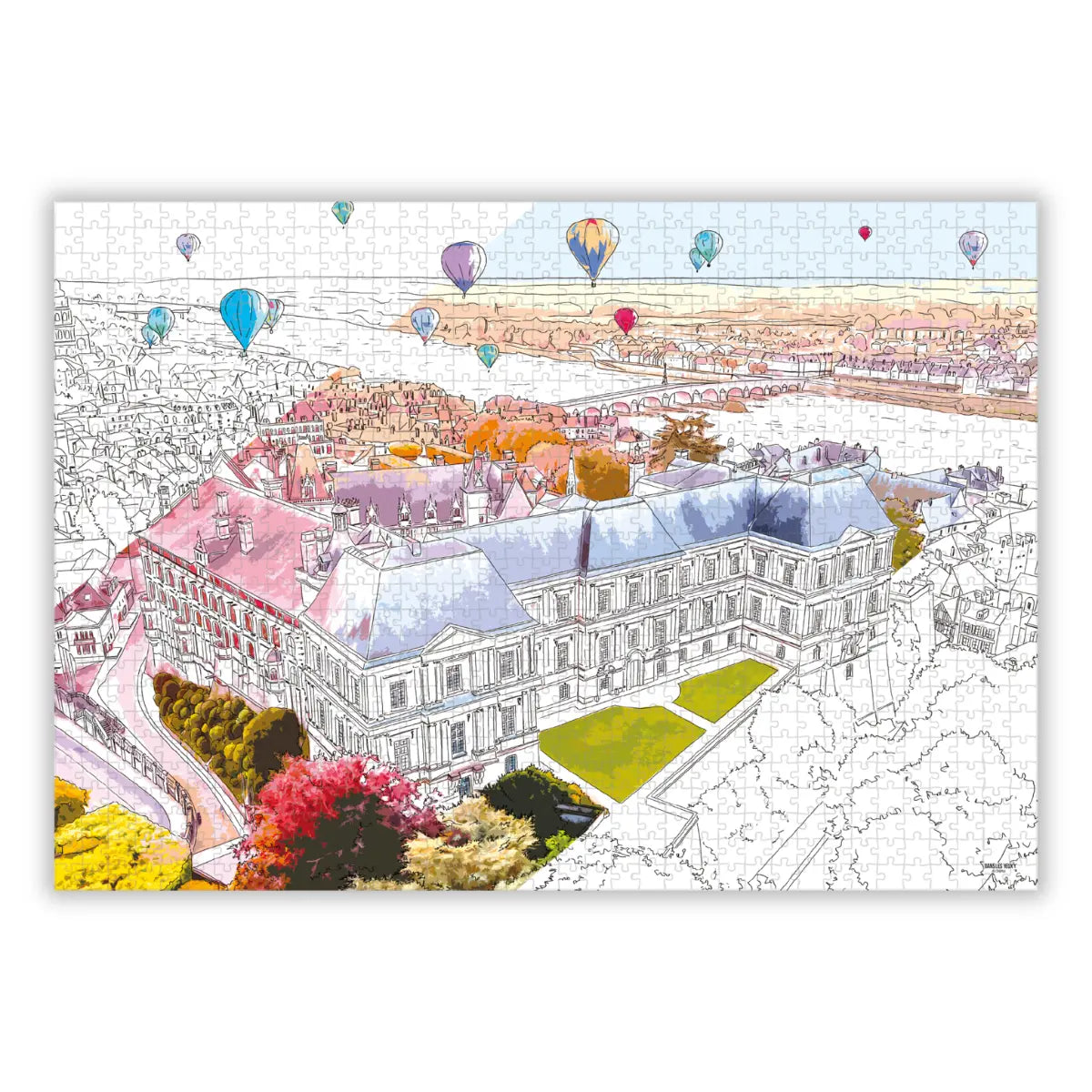 Puzzle 1000 pièces : Blois