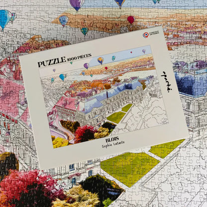 Puzzle 1000 pièces : Blois