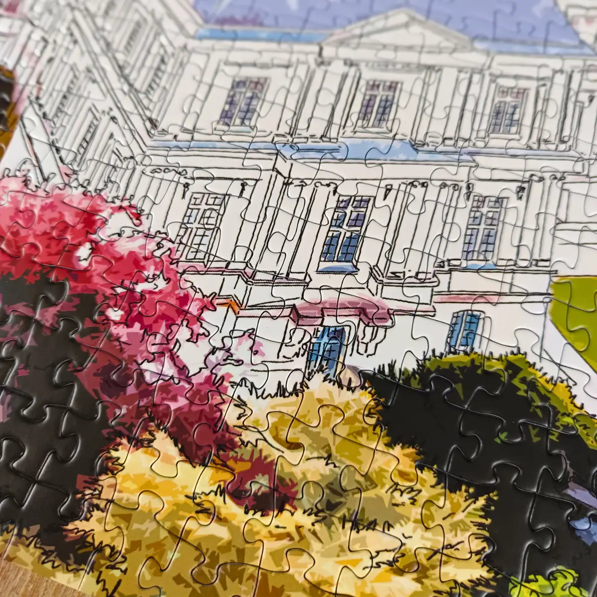 Puzzle 1000 pièces : Blois